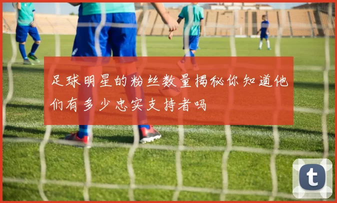 足球明星的粉丝数量揭秘你知道他们有多少忠实支持者吗