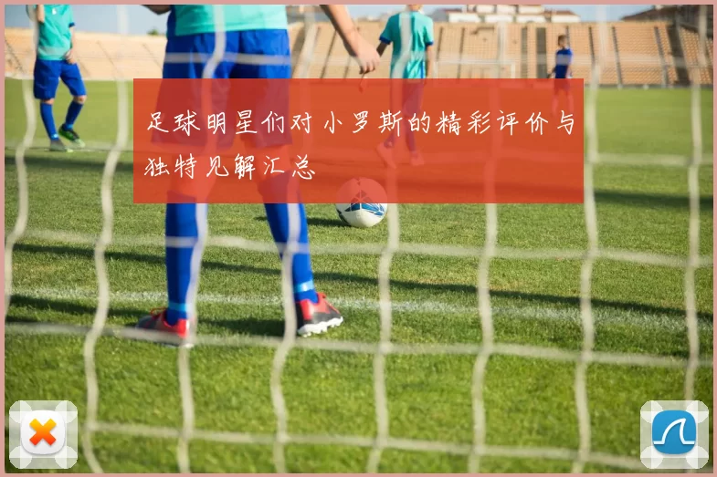 足球明星们对小罗斯的精彩评价与独特见解汇总