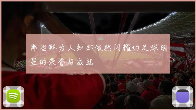 那些鲜为人知却依然闪耀的足球明星的荣誉与成就